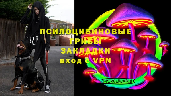 прущие грибы Алексин